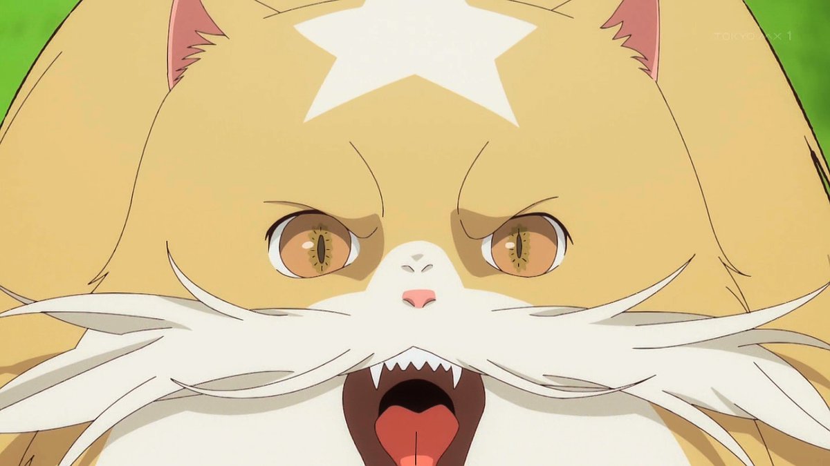 猫と竜 第6話 ツイート画像 1