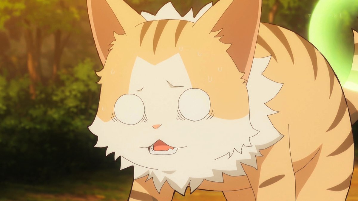 猫と竜 第6話 ツイート画像 1