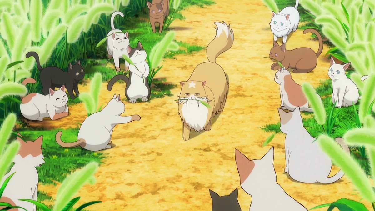 猫と竜 第6話 ツイート画像 1
