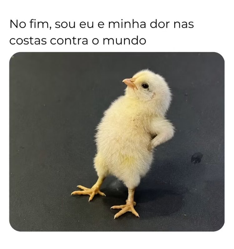 RoseR30162795's tweet photo. Bom dia 😄 https://t.co/QsOPw6stkb