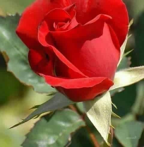 p3goz's tweet photo. @Nda1122a https://t.co/4jOXEBDWsx