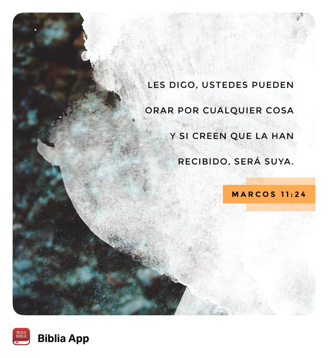 turistanac's tweet photo. “Les aseguro que, si tienen confianza y no dudan del poder de Dios, todo lo que pidan en sus oraciones sucederá. Si le dijeran a esta montaña: “Quítate de aquí y échate en el mar”, así sucedería. Solo deben creer que ya está hecho lo que han pedido.”
Marcos 11:24 TLA https://t.co/BotjSfG0KR