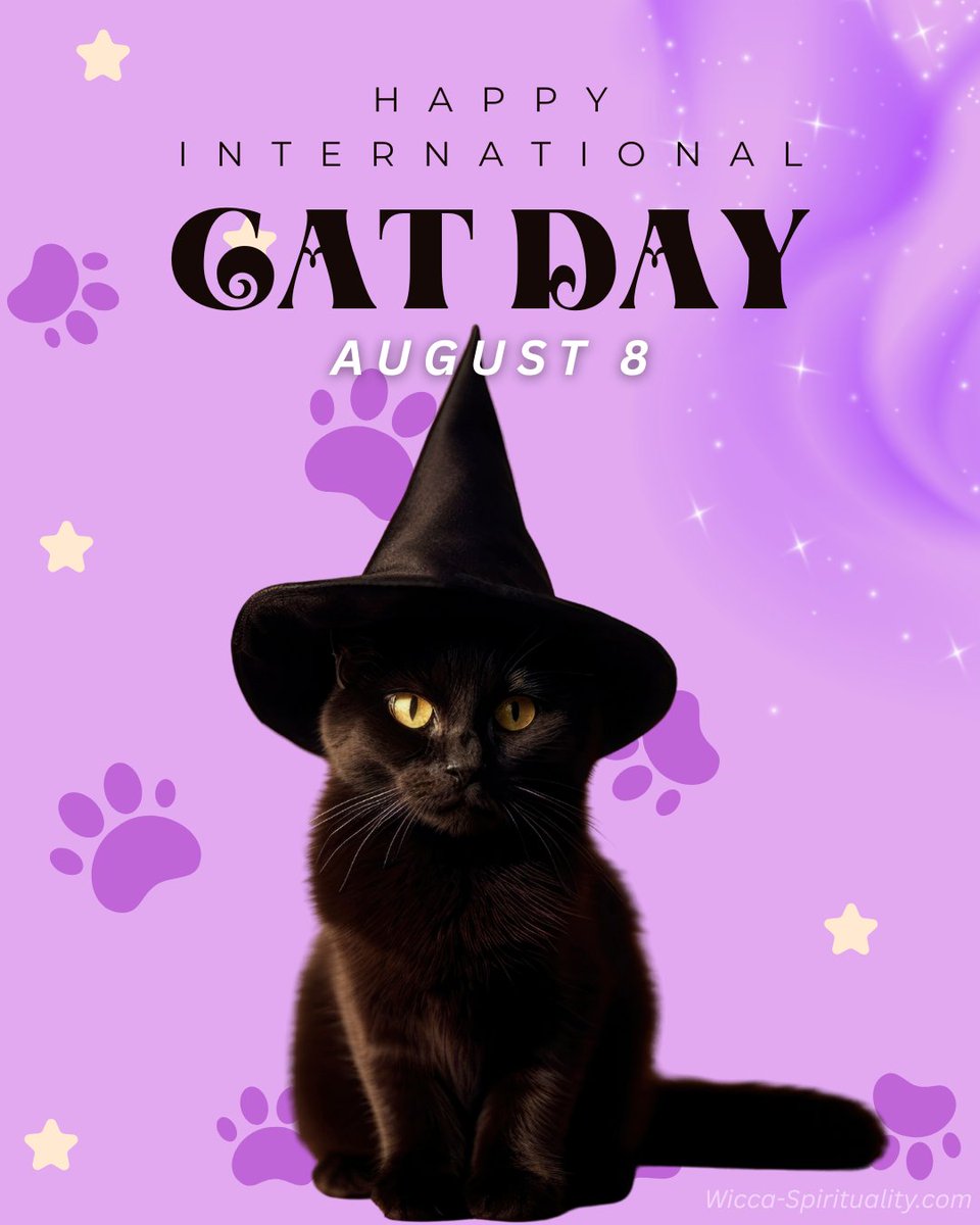 WiccaSpirit's tweet photo. Happy International Cat Day! 🐈⬛🐾💗
#catday #happyinternationalcatday #internationalcatday #cats #happycatday https://t.co/geNXxXskNI
