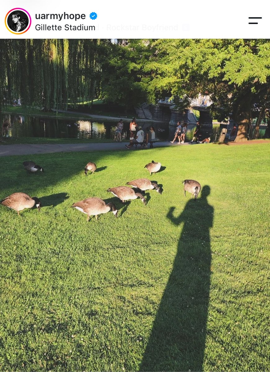 raplineyoongi's tweet photo. y cuando hobi vaya a los bosques de palermo y lo persigan los gansos then what https://t.co/vpRudJAtbG