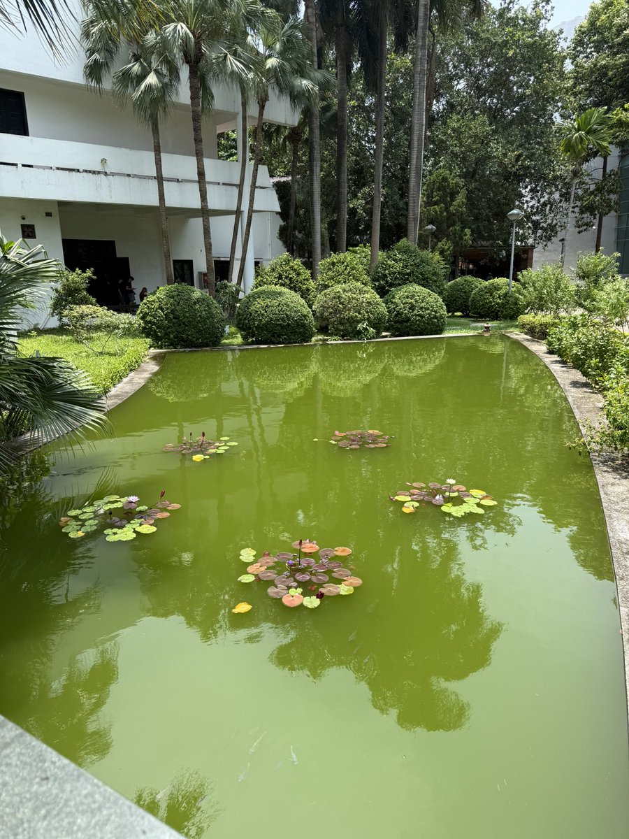 renm_0130's tweet photo. ベトナム民族学博物館に来ました。
公認された54の民族の文化や生活様式を保存・展示する総合博物館です。民族資料や伝統家屋の屋外展示もあって、ベトナムの多様な歴史や暮らしが学べる場所。他に世界各国の資料もあり、民族学好きにはたまりません。 https://t.co/7tp6rXjRmc