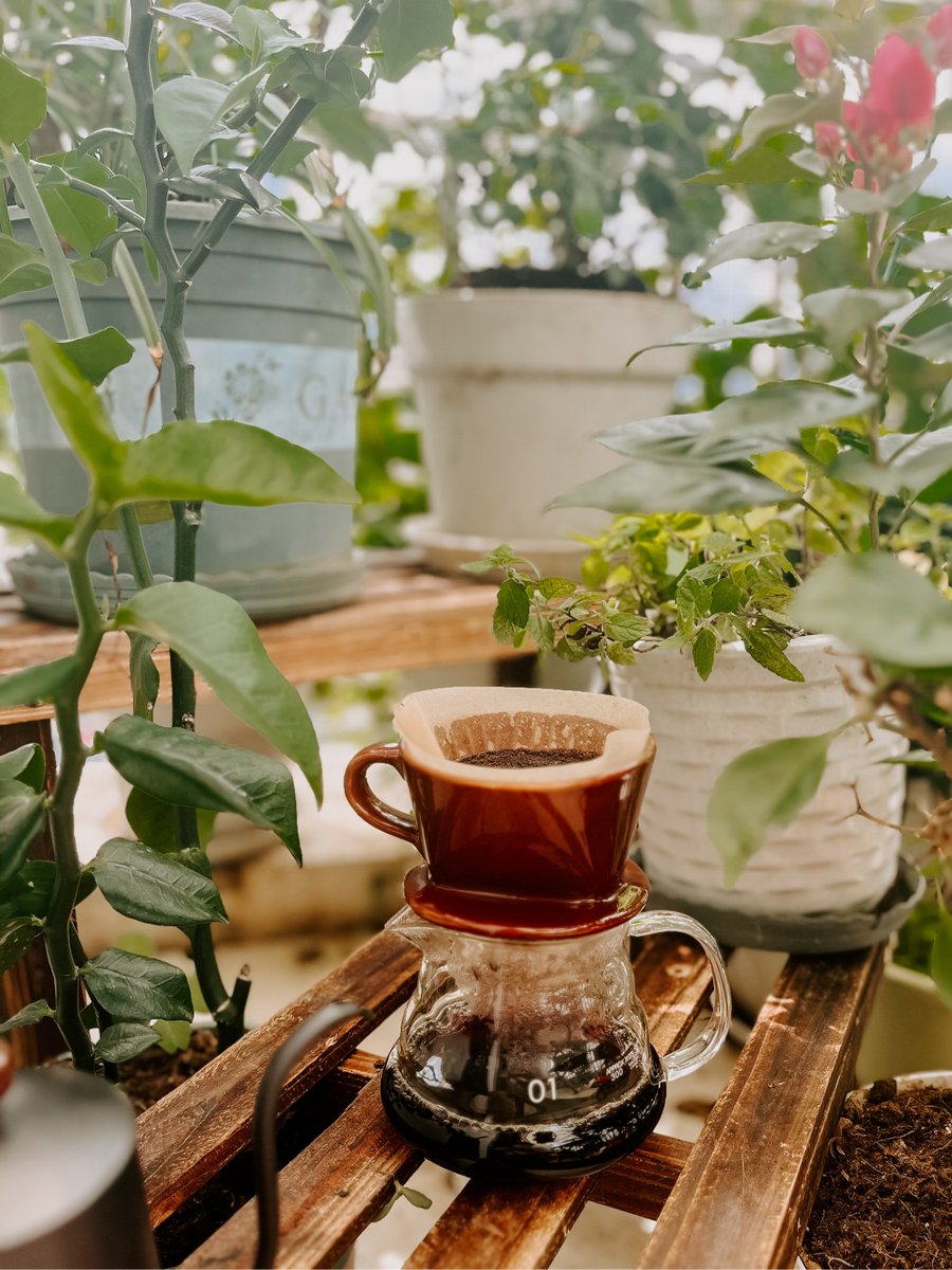 basil_mirgni's tweet photo. Just slowed down with iced coffee and a good book on the balcony—this is the kind of small, perfect afternoon I needed , https://t.co/QCayuqJV41