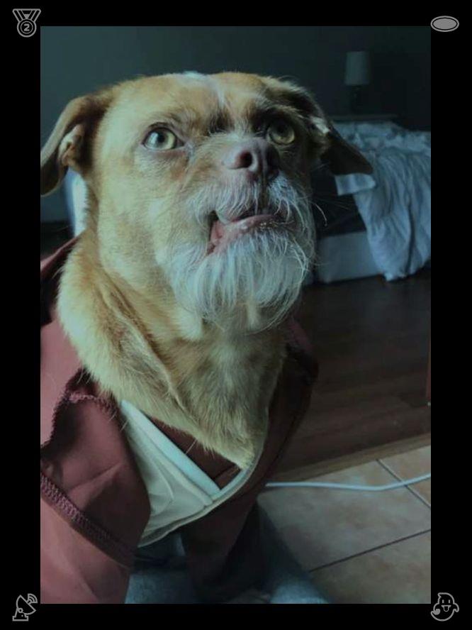 moreira_caio97's tweet photo. 💤Today: work goes smoothly, results exceed expectations A great workday!509655Dog looks at clouds https://t.co/z5ZKPDFxxW