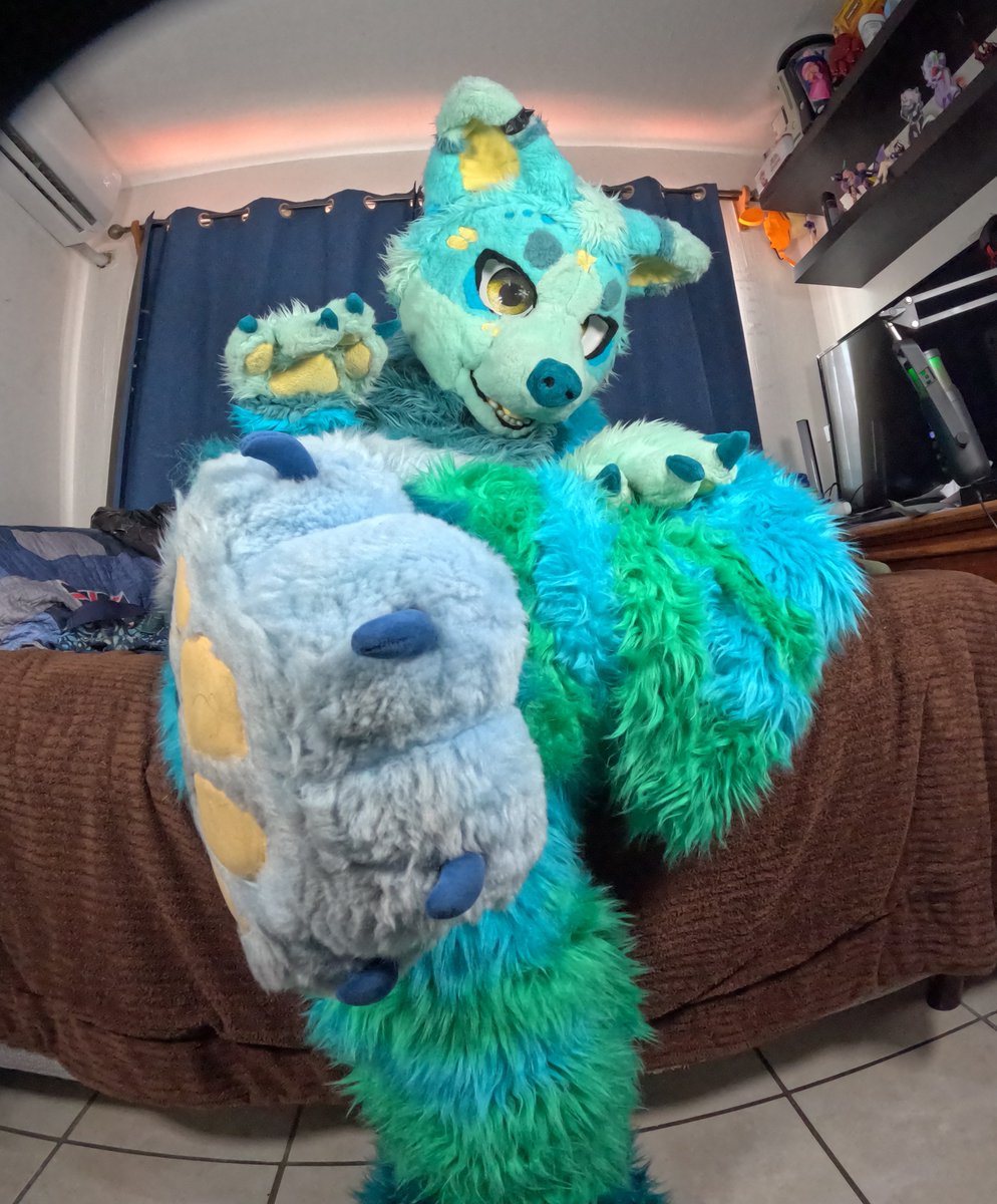 shyght's tweet photo. Look at those beans! 🐾✨ Aren't they the cutest? Couldn't resist taking some pics today! 🥰🩵🐺

#macrofurry #fursuiter #paws #furry https://t.co/c5Vdh1D0Ky