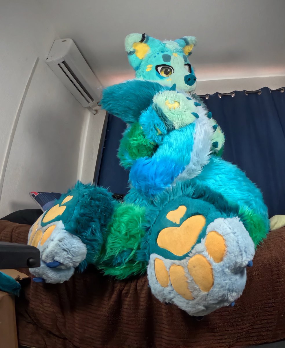 shyght's tweet photo. Look at those beans! 🐾✨ Aren't they the cutest? Couldn't resist taking some pics today! 🥰🩵🐺

#macrofurry #fursuiter #paws #furry https://t.co/c5Vdh1D0Ky