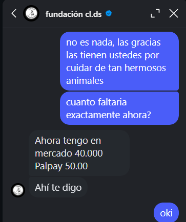 UmAlianza's tweet photo. Alias: caballos.libredelsur  

https://t.co/TJaFDZb3bW

¡ATENCION COMUNIDAD DE UMAMUSUME; NECESITAMOS DONAR PARA DARLE TECHO A CABALLOS REALES!

HOY RECOLECTAMOS CERCA DE 80USD. 

CABALLOS LIBRES DEL SUR NECESITA APROXIMADAMENTE 80 DOLARES MÁS.

¡VAMOS QUE SE PUEDE! https://t.co/y7M7B0Tb4M