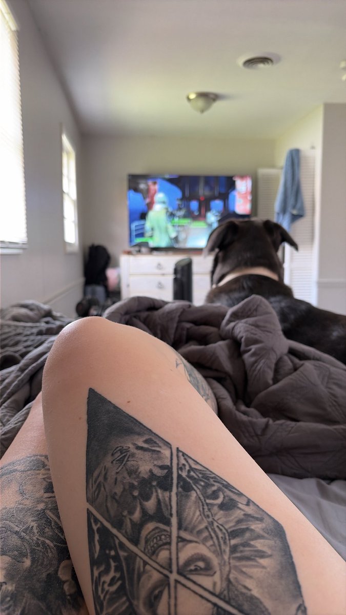 Bittle413's tweet photo. Love a lazy Saturday https://t.co/yn129jBa50