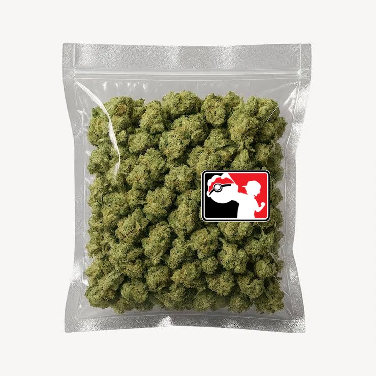itsMutaTV's tweet photo. Society if I was in charge of prize packs 👀 💨 👀 💨 https://t.co/C5h1DZpRK3