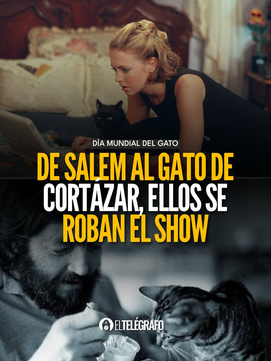 el_telegrafo's tweet photo. #DíadelGato I Fueron venerados en el antiguo Egipto, son famosas caricaturas, estrellas de TV y compañeros de músicos y escritores. ¿Qué gato es el más famoso del mundo? #LéaloEnET: https://t.co/QahEQLEi4s https://t.co/zhnrFXzUox