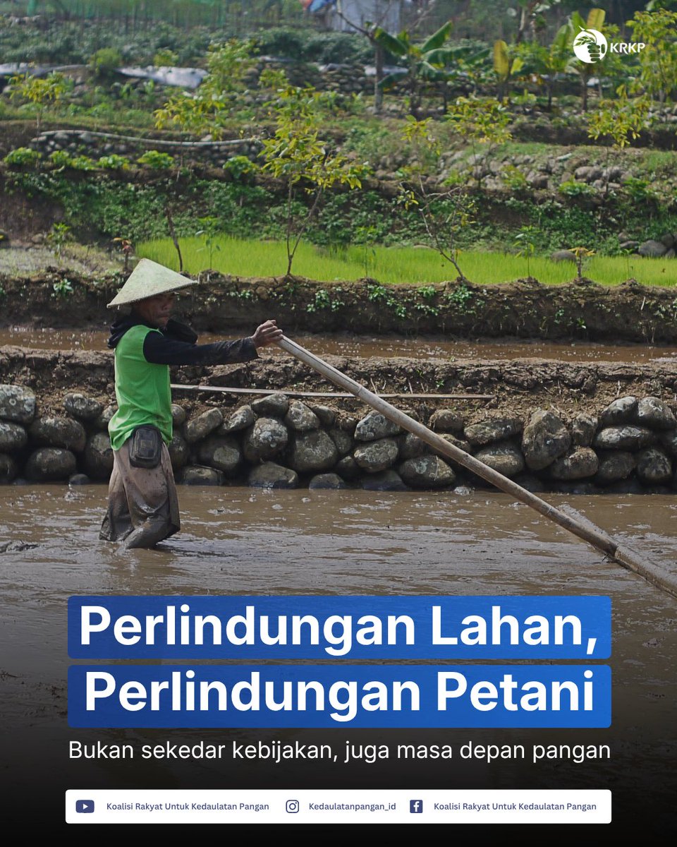 krkp_id's tweet photo. Masalahnya bukan sekadar regulasi.

Ada pengawasan yang lemah, konflik kepentingan, dan keberpihakan yang belum benar-benar sampai ke petani kecil.

Jika lahan terus hilang, petani kehilangan ruang produksi.

Tanpa petani, ketahanan pangan hanya akan jadi wacana.

Perlindungan lahan tidak bisa berdiri sendiri. Ia harus berjalan bersama:
perlindungan petani, akses sumber daya, dan keadilan agraria.

Karena menjaga sawah, artinya menjaga masa depan pangan kita.

#ReformaAgraria #KedaulatanPangan #KedaulatanPetani

1/2