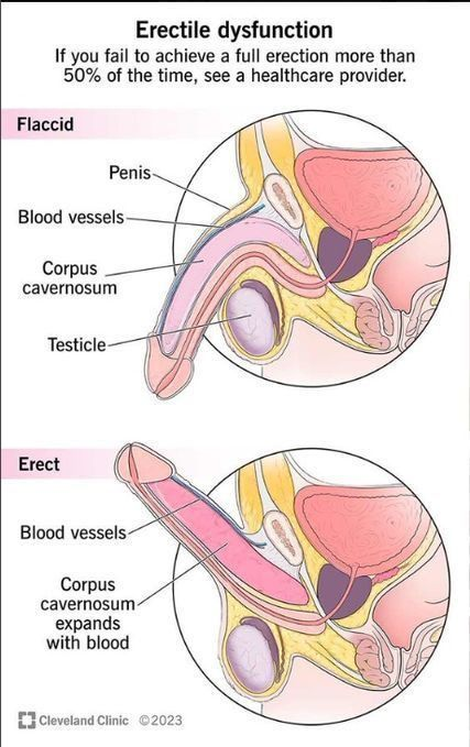darw1nsz's tweet photo. 8 hábitos que pueden mejorar tu testosterona, reducir el cortisol y fortalecer tus erecciones.

1. Baño de sol https://t.co/z3YTlPhQrD