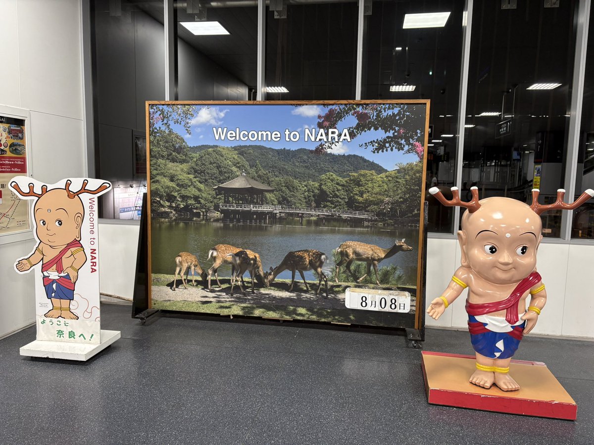 itoihabakemono's tweet photo. なら燈火会😄

隣の県なのになぜか小旅行気分になれる奈良🙂‍↔️ https://t.co/WcIEGahH8x