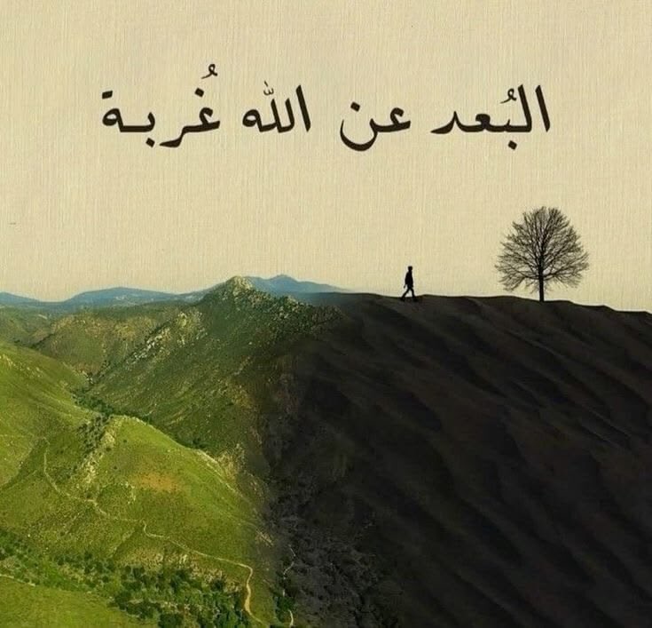haytheemhassan's tweet photo. https://t.co/nEJbKqddMl