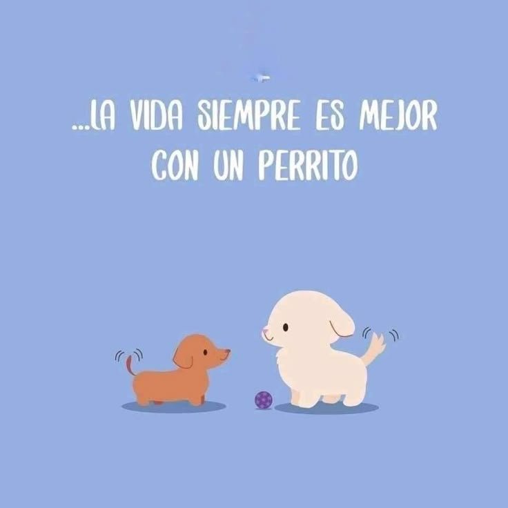rey_latino33087's tweet photo. https://t.co/xxLaedwDL8