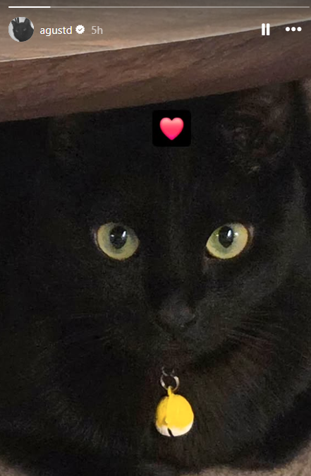 AboutMusicYT's tweet photo. Suga shares a photo of his cute cat, Tang, celebrating National Cat Day. https://t.co/geVLYDDXjP