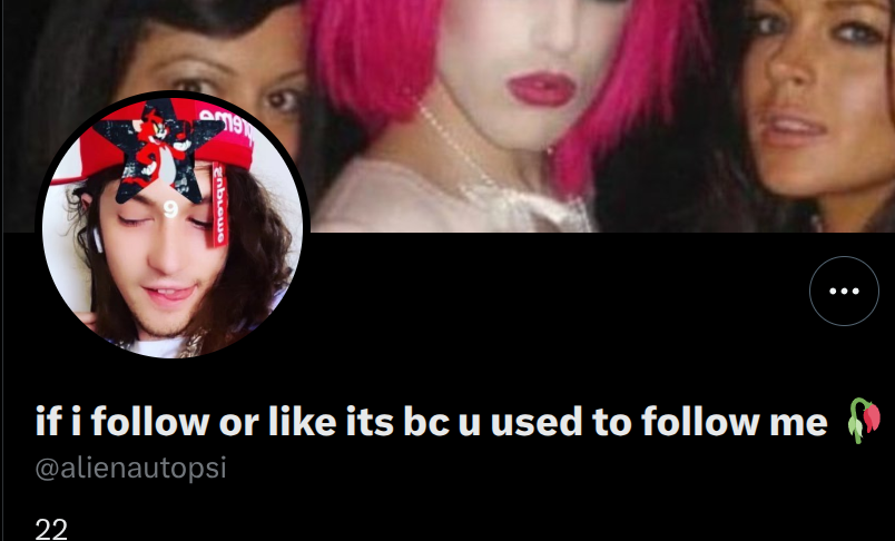 shadowsmythe's tweet photo. @alienautopsi @magi_jay @AbdulElSayed Burner account just to stalk her. https://t.co/RCAePRjLdl