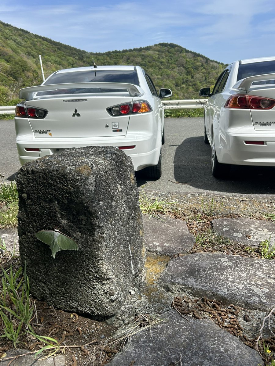 kimopan31's tweet photo. 釣り情報を得ようとTwitterを始めたら、真っ先にフォルティス界隈に囲まれてしまい、フォルティスのミーティングに行くようになり、フォルティス乗りの彼女ができて、家を買い、同棲し、本日入籍に至る

ＳＮＳって恐ろしいですね
良い意味で

🐝🐝🐝 https://t.co/AH8r0Rp4C5