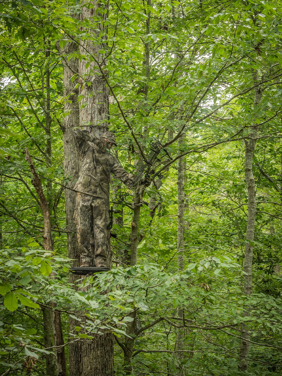 Realtree's tweet photo. Even the best archery gear is delicate. From nicked strings to cracked arrows, these things can take you out of commission just as the hunting gets good, so plan ahead. 

Here are 8 gear problems that will wreck your bowhunt. 

Link to learn more: https://t.co/ifOEqf5hvJ

#Realtree