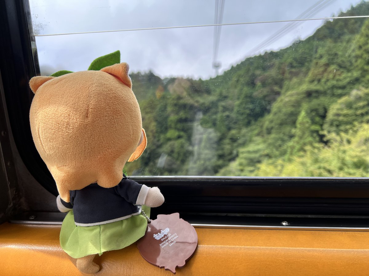 sup_kt's tweet photo. 四国のロープウェイ巡り①
徳島県　太龍寺ロープウェイ
先ずは阿南市から程近い四国霊場21番より。山を越える索道だったので意外と長かった。支柱付近から観る山間部の景色は美的。 https://t.co/tQzm4nMlEk