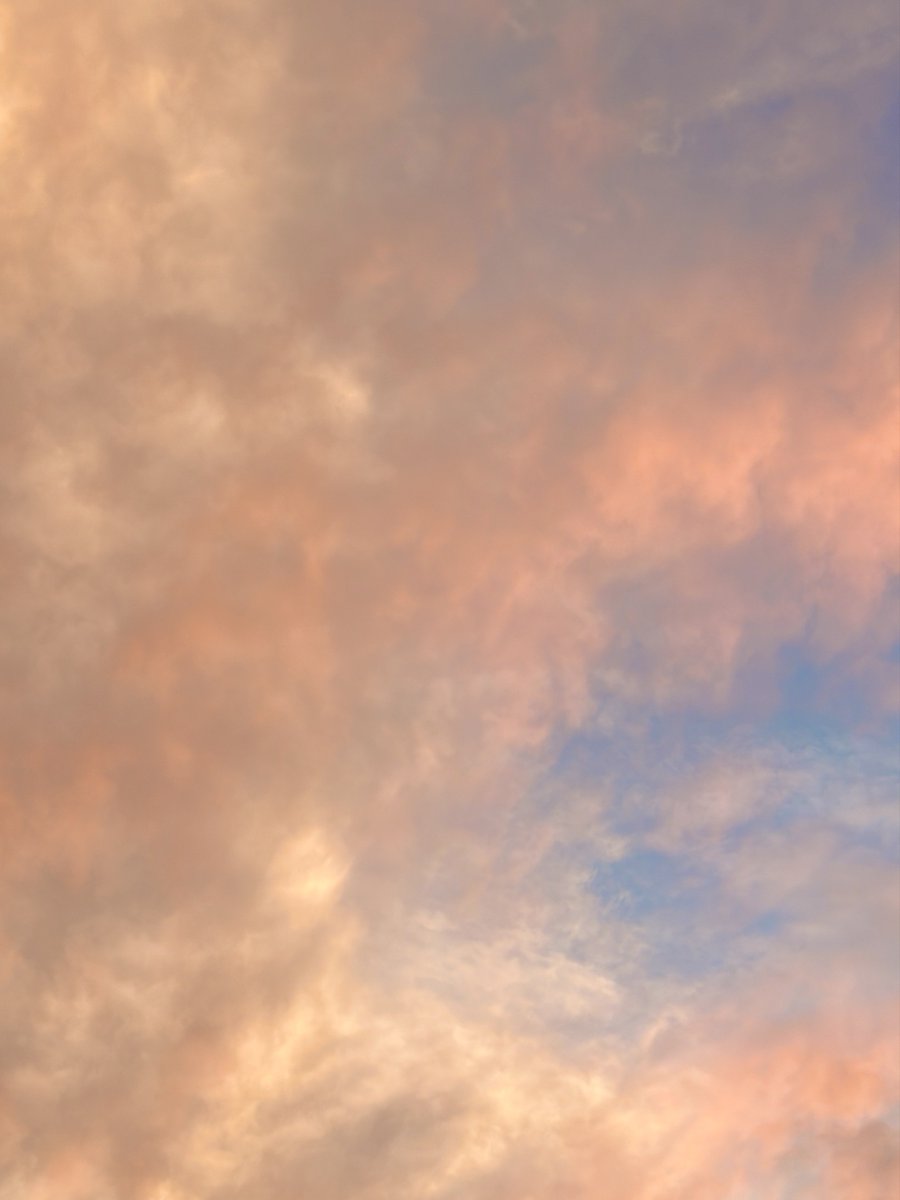 odebbl's tweet photo. 💌 260808 10:30 PM

📸
🦊 the pretty sky i took earlier https://t.co/YkFb4gRf1Z
