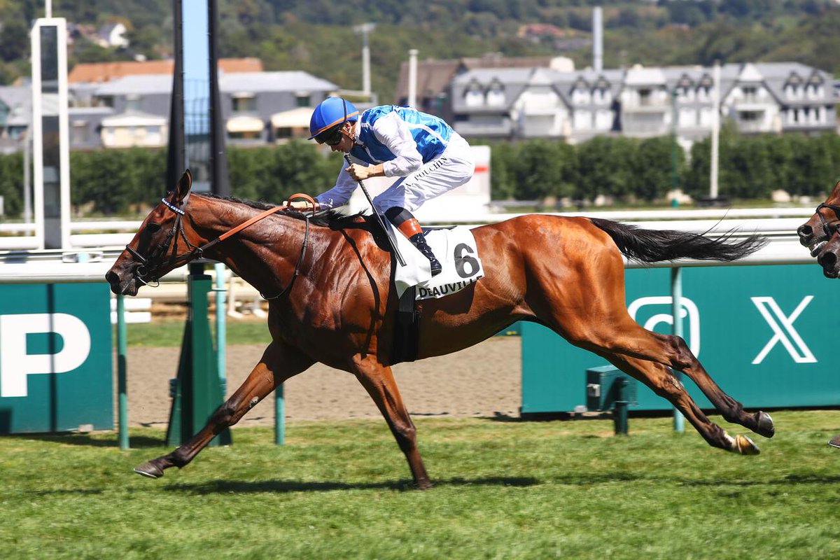 canalturf's tweet photo. 🏁Arrivée #pmu Prix de Reux (Gr. III), samedi 8 août hippodrome de Deauville
🏇MAZZALA (6) reste invaincu 
➡️https://t.co/FCrq5CGUWI @pouchinalexis @WertheimerSales #resultatspmu #resultatsDeauville