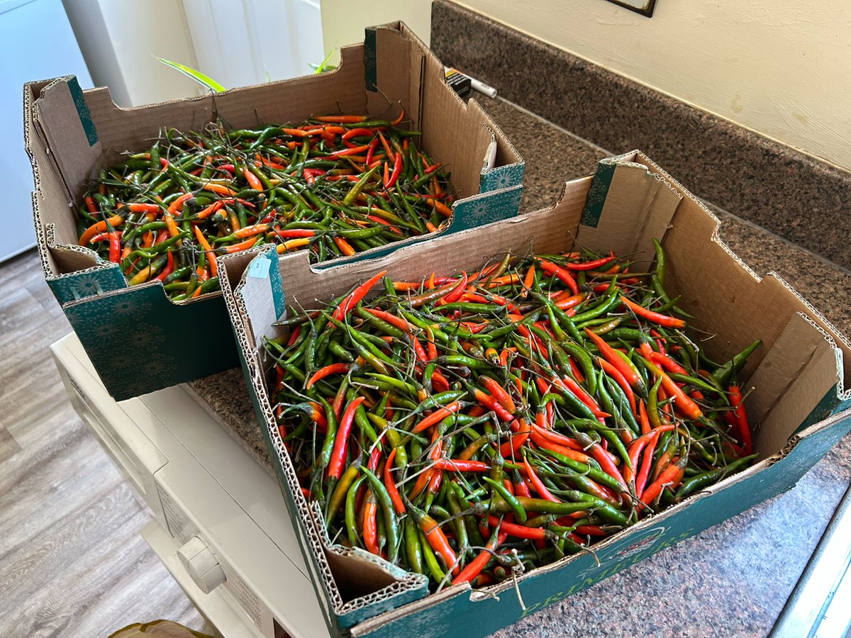 jamiemonk's tweet photo. Went to our favourite Asian supermarket to get some chilies. Price is different every time we visit, but this time they had huge trays of chilies for £3.99. Had to get 2. https://t.co/WJhp63fyM1