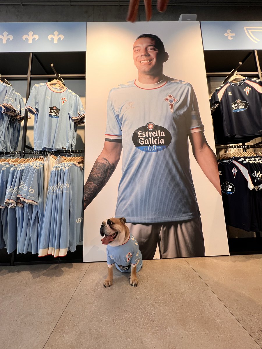DiegoPikesPeak's tweet photo. Un escudo no meu peito. 🩵😃.
¡¡¡ SEMPRE CELTA !!!

Renata a nova siareira.

@RCCelta @aspas10 #inglishBulldog #BulldogIngles #Celta #SempreCelta https://t.co/oEG2hl4ncz