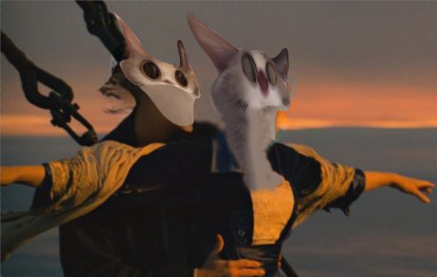 MeepCat_meme's tweet photo. @artsch00lreject MEEP is the kind of play that looks obvious in hindsight

real meme, community and staying power

The slingshot is loading https://t.co/qHZP4Q4x60