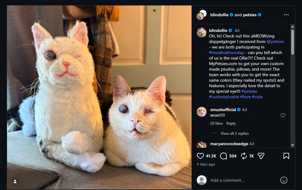 Gabanideveloper's tweet photo. This is so good

dont understand how it hasn't ran

This cat that was born with just one eye which is blind, he is named Ollie and is going giga viral on social media

Ollie is going viral for it's owner making a custom plushie that looks and has the same one eye features as Ollie

The story is currently melting the hearts of millions online right now

The cat has become inseparable with the plushie

insta:https://t.co/ZBGr1mxdaq