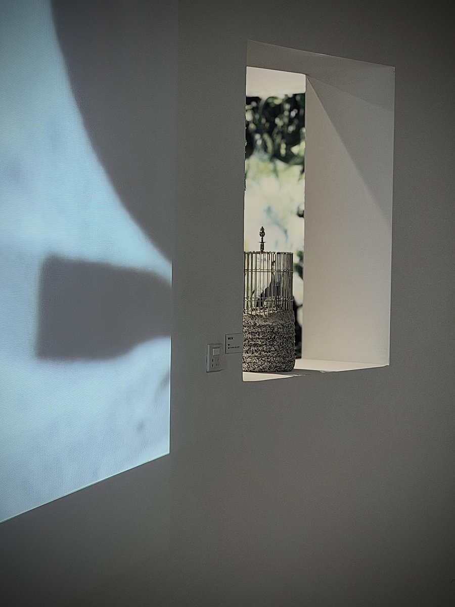 isabelreed_'s tweet photo. Lost in the quiet language of art. https://t.co/pzejZdSGrM