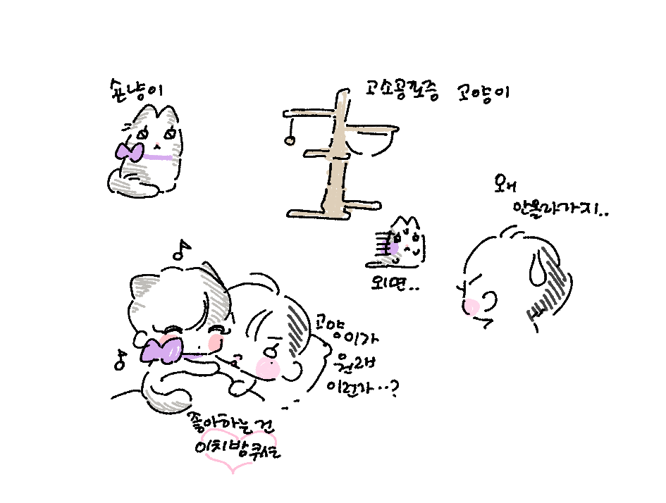 3bukubuku9's tweet photo. 샄숀

세계숀냥이의날 축하합니다 https://t.co/kqGTFZwKAI