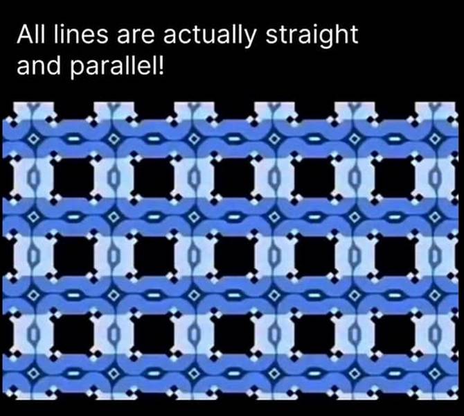 KenCureton's tweet photo. 2026-08-08:  Quotes, “There is an optical illusion about every person we meet.” - Ralph Waldo Emerson https://t.co/O72S4gtU8A