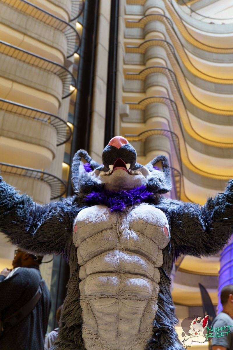 Hugz_N_Snugz's tweet photo. A special thanks to @KifoShep for these pics from this year’s FWA! They came out GREAT! 🤩 https://t.co/EsGfEFlJOO