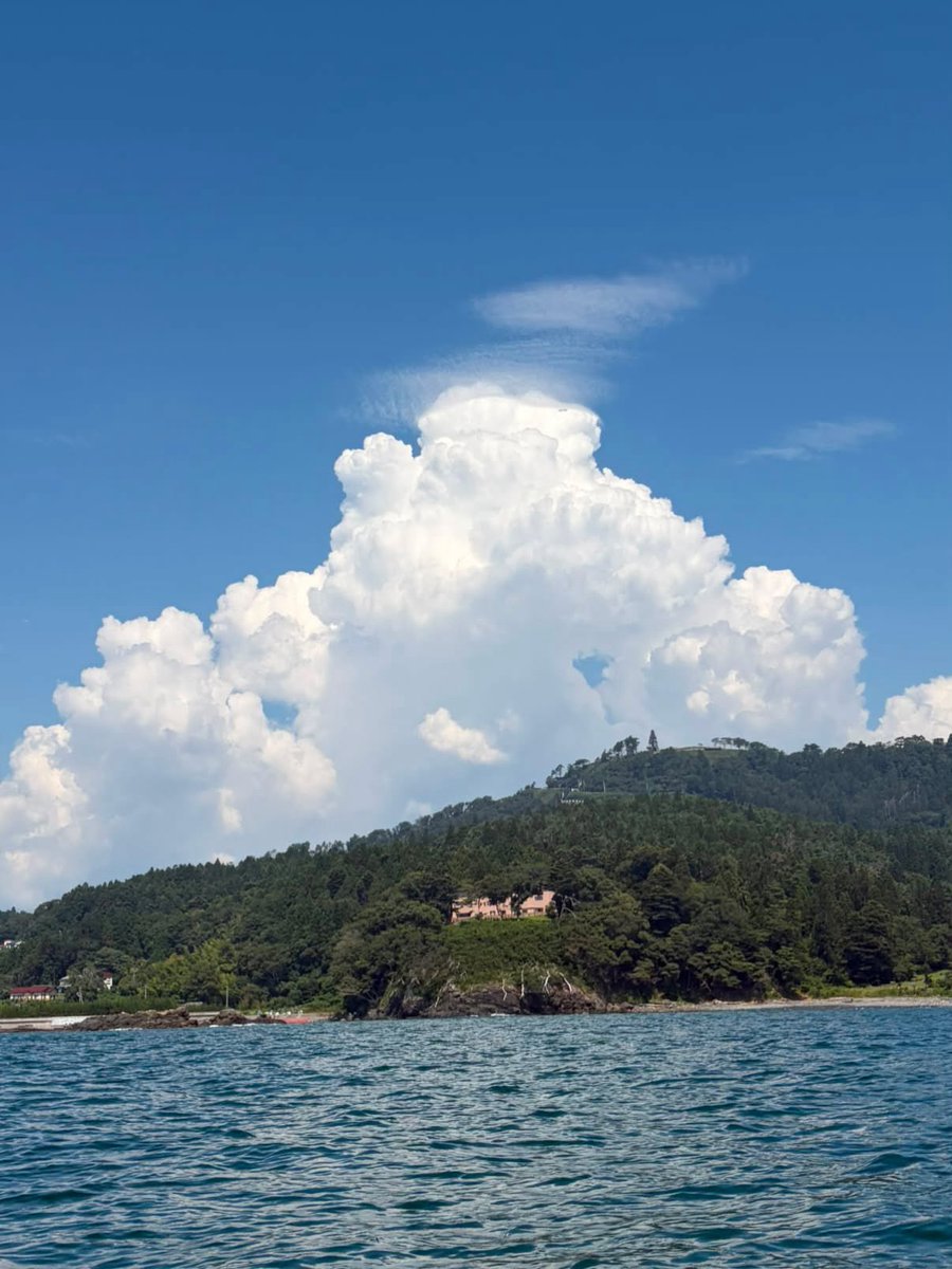 doschope's tweet photo. テラスから気仙沼の全景を、海から亀山を見上げて

念願叶って気仙沼大島の海を漕ぐことができました。そして新しい出会いも。気仙沼の海は南国育ちには冷たかったけど、火照った体には気持ちイイ！海のつながりに感謝。
#気仙沼 https://t.co/GJN8ZypNVD