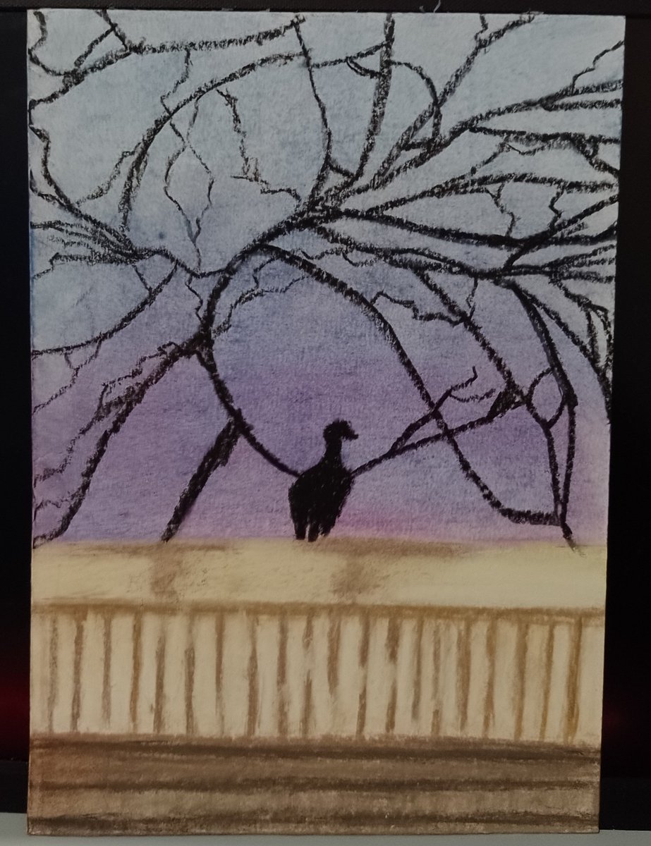 ecowalia's tweet photo. Pinturinha de giz pastel oleoso com giz pastel seco que fiz baseada em uma foto q tirei de um urubu numa laje https://t.co/hqn2lOqFyM