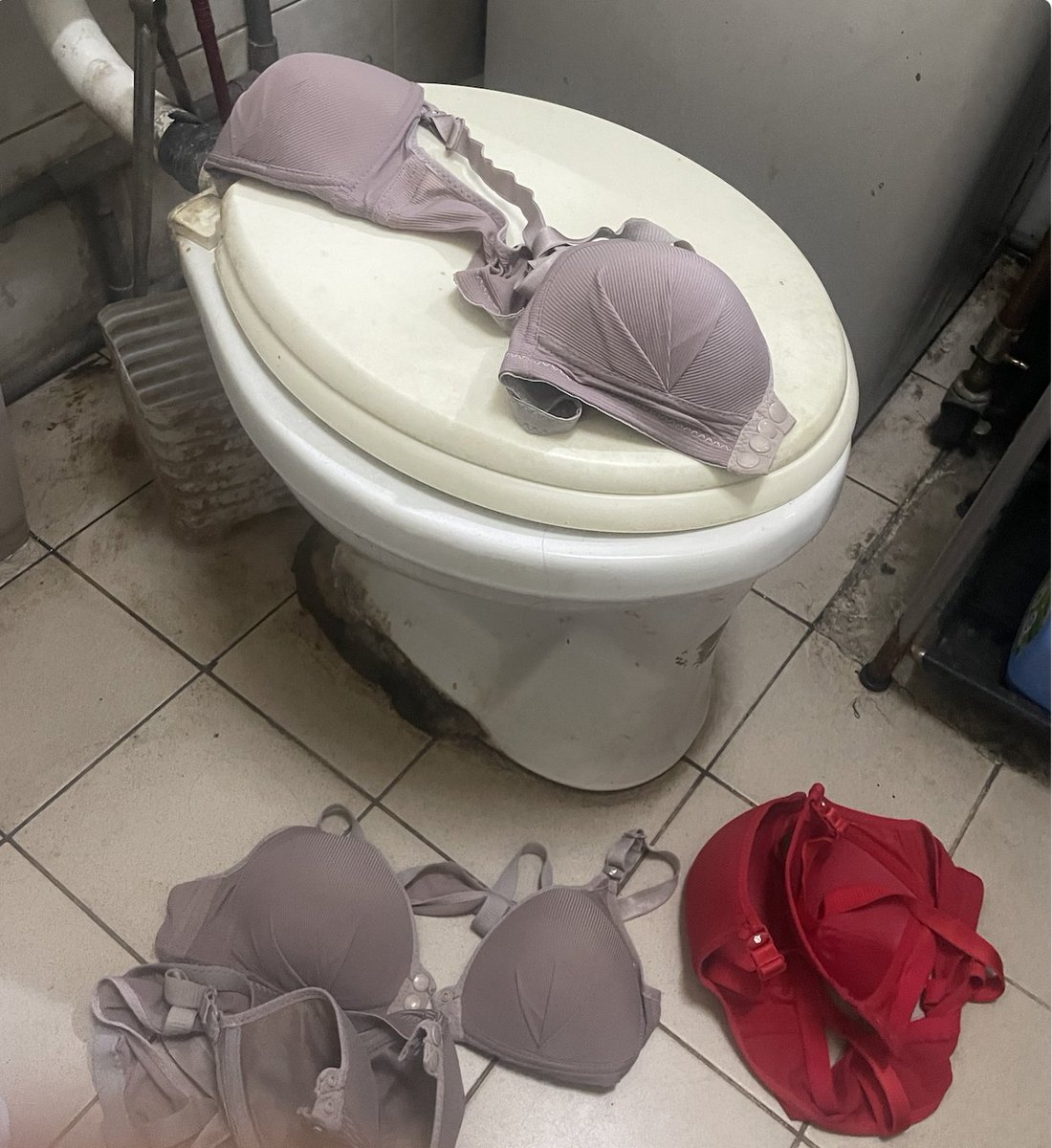 s5fy1FTU8x2sHH5's tweet photo. 最新力作，小吃店最成功一次四件大滿貫奶罩，這次挑了一個不同時間去，而且只外帶，35塊，借廁所，剛好遇到老闆娘在廁所裡的四件內衣，三件藕色，一件大紅色，全部都是前扣式，看得出老闆娘很急，我一次夾四件，爽到升天，最後射一點在紅色上面，但這次結帳老闆娘一直看我，看兩次，不知道她想說什麼？ https://t.co/LCY2uGTho9