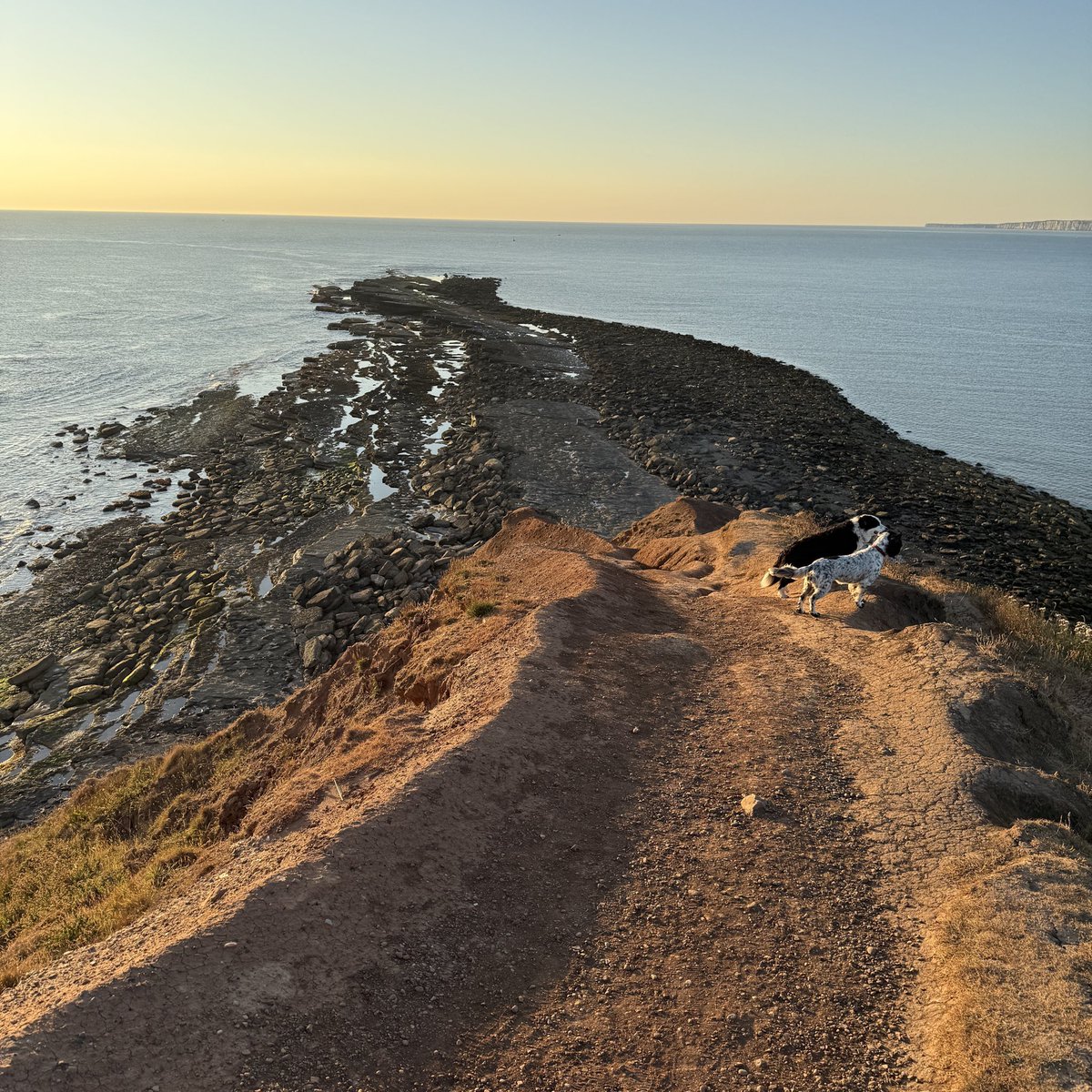Mark_Pimlott's tweet photo. This mornings dog walk at Filey Brigg, the tide was fully out. #filey #yorkshire #dogwalk #seascape https://t.co/sjysGhw0I1