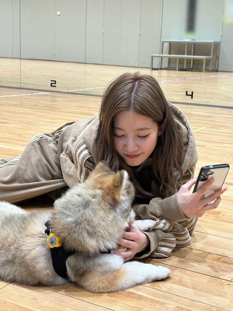 powerfulfim's tweet photo. 강아지 우리 즈하 생일 축하해 !!😍
행복한 하루 보내자 !!!!

#OsakaPrincessKAZUHA
#카즈하생일기념_소금빵89개쏨 https://t.co/mfv8HqWdca