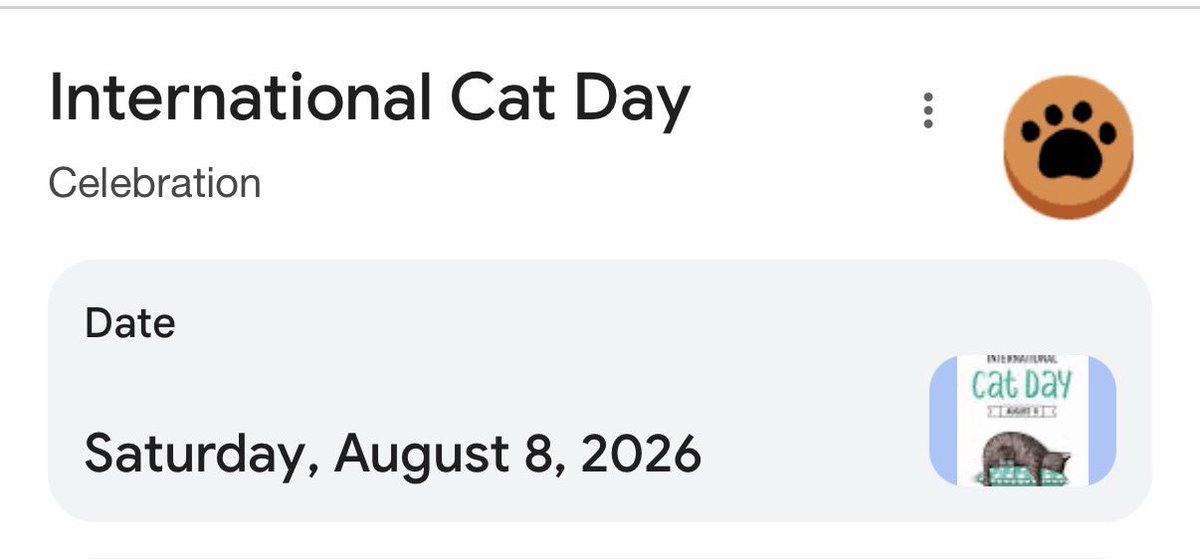 _bolivian's tweet photo. Gm everyone ☀️

Today is International Cat Day so be aware of any potential cat runners https://t.co/5Vb9u6gKHJ