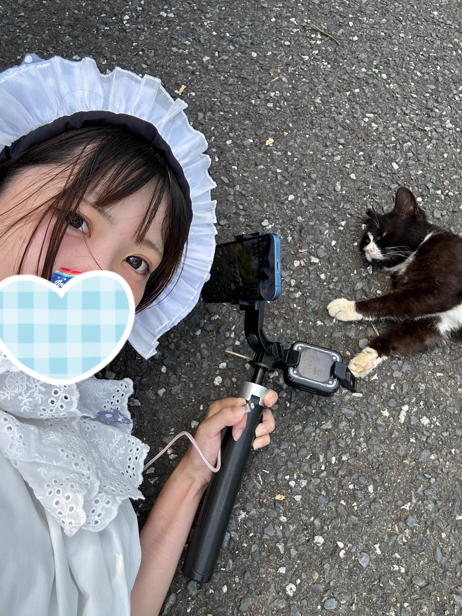 ユキちゃん on X: 