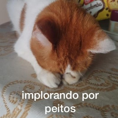 odeiootaco's tweet photo. https://t.co/uUz0LMiMMS