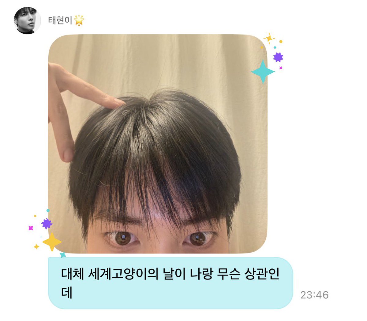 Geeez_txt's tweet photo. 🐿️대체 세계고양이의 날이 나랑 무슨 상관인데

텬냥이까지 고양이의 날 출석 완료✔️ https://t.co/96hrEzFWMB