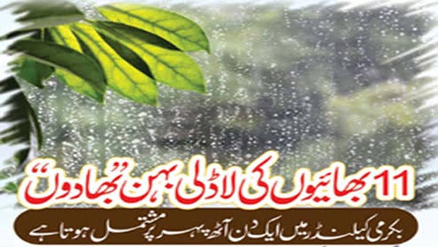 ather_hameed's tweet photo. بھادوں

بھادوں پنجابی اور نانک شاہی کیلنڈر کا چھٹا مہینا ہے جو ساؤن کے بعد آتا ہے اور آٹھویں انگریزی مہینے اگست کی 16 تاریخ سے ستمبر کی 15 تاریخ تک رہتا ہے اور اس مہینے کے 31 دن شمار کیے جاتے ہیں
بھارتی اور پاکستانی پنجاب میں ساؤن اور بھادوں بارشوں کے مہینے ہیں جس میں

1👇 https://t.co/loi8QWLcTr