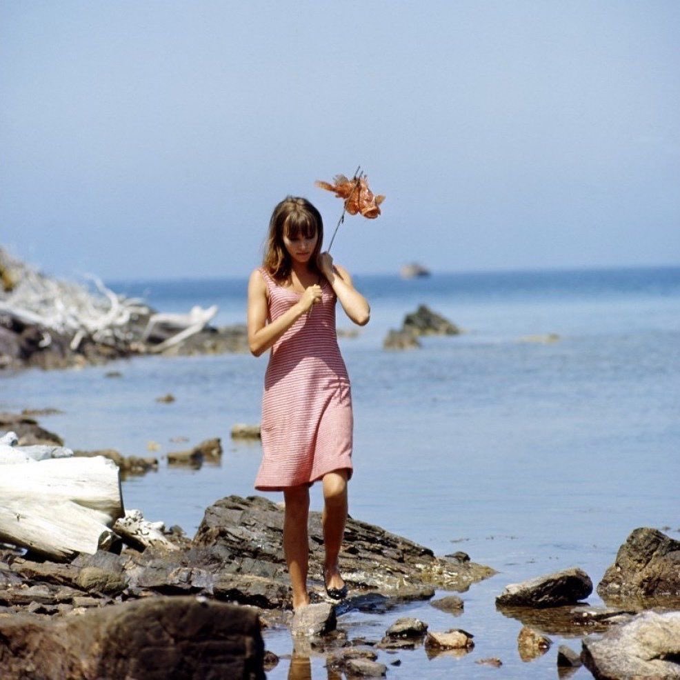 Jopolkadot's tweet photo. Pierrot le fou

Godard
1965 https://t.co/gDEOLaFb8a