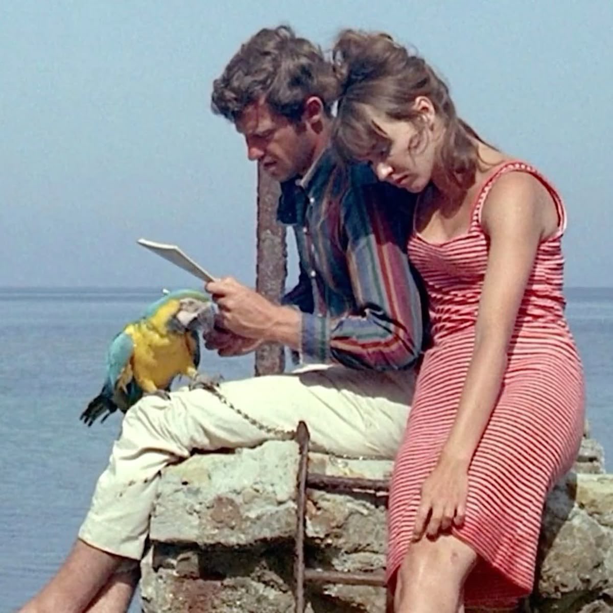 Jopolkadot's tweet photo. Pierrot le fou

Godard
1965 https://t.co/gDEOLaFb8a