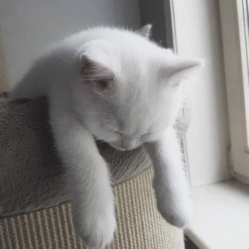 Solithra's tweet photo. Mood https://t.co/aPMlk024MD